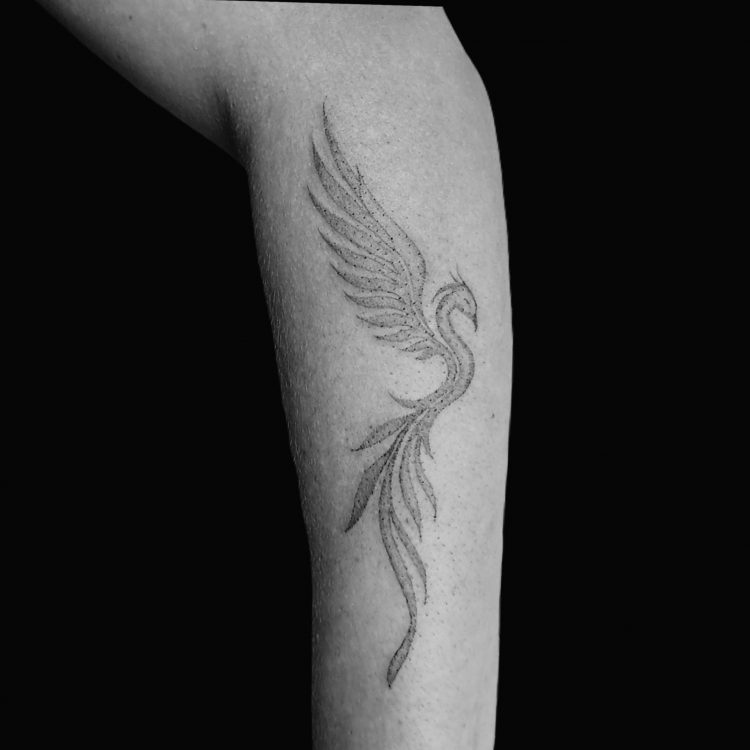 WhatsApp Bild 2025-11-07 um 19.31.02_13153dd8